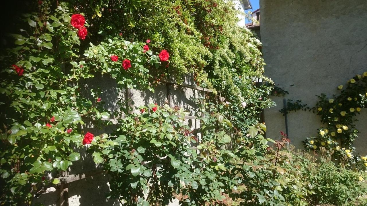 B&B Barbaia Levice Exterior foto